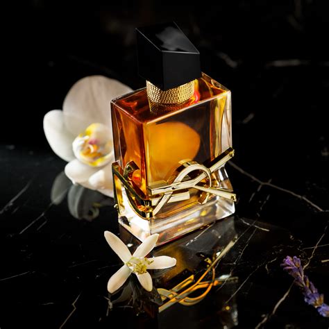 ysl perfume 24